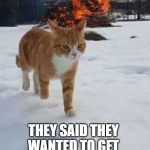 Oops! Bad kitty | I DON'T KNOW WHAT THE FUSS IS ABOUT; THEY SAID THEY WANTED TO GET RID OF THE MICE! | image tagged in oops bad kitty | made w/ Imgflip meme maker