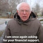 Bernie Financial meme