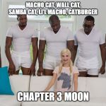 5 black guys and blonde | MACHO CAT, WALL CAT, SAMBA CAT, LI'L MACHO, CATBURGER; CHAPTER 3 MOON | image tagged in 5 black guys and blonde | made w/ Imgflip meme maker