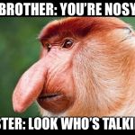 Big Nose Monkey | BROTHER: YOU’RE NOSY; SISTER: LOOK WHO’S TALKING | image tagged in big nose monkey | made w/ Imgflip meme maker