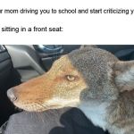 jackal in the front seat | *your mom driving you to school and start criticizing you*; you sitting in a front seat: | image tagged in jackal in the front seat | made w/ Imgflip meme maker