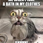 Wet Scary Cat | ME WHEN I TAKE A BATH IN MY CLOTHES; AHHHH! | image tagged in wet scary cat | made w/ Imgflip meme maker
