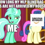 MLP Blind Bag toy | HOW LONG MY MLP BLIND BAG TOYS ARE NOT ARRIVED MY HOUSE? ME | image tagged in lyra and bon bon,amazon,mlp fim,toys | made w/ Imgflip meme maker