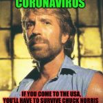 Chuck Norris coronavirus | CORONAVIRUS; IF YOU COME TO THE USA, YOU’LL HAVE TO SURVIVE CHUCK NORRIS | image tagged in chuck norris,coronavirus,memes,funny memes,warning | made w/ Imgflip meme maker