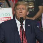 Trump Coronavirus Hoax