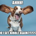 Dog yawning | AHHH! WHY DO I GET KIBBLE AGAIN????????? | image tagged in dog yawning | made w/ Imgflip meme maker