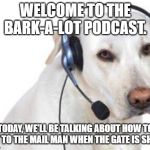 dog phone | WELCOME TO THE BARK-A-LOT PODCAST. TODAY, WE'LL BE TALKING ABOUT HOW TO GET TO THE MAIL MAN WHEN THE GATE IS SHUT. | image tagged in dog phone,podcast,doggo | made w/ Imgflip meme maker