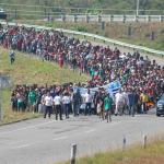 caravan of migrants