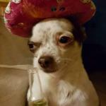 Chi Seduction