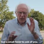 Bernie a Small Favor