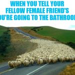Where we go one we go all ᕙ(⇀‸↼‶)ᕗ | WHEN YOU TELL YOUR FELLOW FEMALE FRIEND'S YOU'RE GOING TO THE BATHROOM | image tagged in sheep,i don't even know why | made w/ Imgflip meme maker