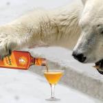 Polar Pee Rum