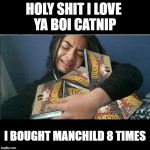 Ya Boi Catnip MANCHILD album meme | HOLY SHIT I LOVE 
YA BOI CATNIP; I BOUGHT MANCHILD 8 TIMES | image tagged in ya boi catnip manchild album meme | made w/ Imgflip meme maker
