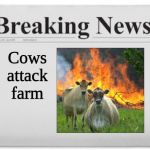 Breaking News | Cows attack farm | image tagged in breaking news | made w/ Imgflip meme maker