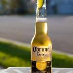 Corona virus