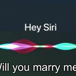 Hey Siri! | Will you marry me? | image tagged in hey siri | made w/ Imgflip meme maker