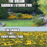 Reality garden | THE DREAM GARDEN I STRIVE FOR; THE GARDEN I GET......
EVERY SINGLE YEAR. | image tagged in reality garden | made w/ Imgflip meme maker