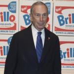 Bloomberg brillo meme