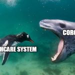 You saw this coming... | CORONA-CHAN; U.S. HEALTHCARE SYSTEM | image tagged in penguin seal close-up,coronavirus,healthcare,cdc,pandemic,first world problems | made w/ Imgflip meme maker
