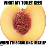 Toilet IMGFLIP | WHAT MY TOILET SEES; WHEN I'M SCROLLING IMGFLIP | image tagged in half a peach,imgflip,imgflip users,funny,funny memes,funny meme | made w/ Imgflip meme maker