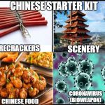 the 2020 Chinese Starter Kit | CHINESE STARTER KIT; FIRECRACKERS; SCENERY; CORONAVIRUS
(BIOWEAPON); CHINESE FOOD | image tagged in my dolly parton challenge,chinese,coronavirus | made w/ Imgflip meme maker