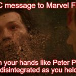 Peter Parker Dust | CDC message to Marvel Fans:; Wash your hands like Peter Parker just disintegrated as you held on. | image tagged in peter parker dust | made w/ Imgflip meme maker