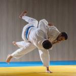 Corporat judo