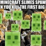 Many Cats | BABY MINECRAFT SLIMES SPAWNING WHEN YOU KILL THE FIRST BIG ONE | image tagged in many cats,memes,funny,funny memes,minecraft | made w/ Imgflip meme maker