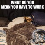 Bear in bed | WHAT DO YOU MEAN YOU HAVE TO WORK | image tagged in bear in bed | made w/ Imgflip meme maker