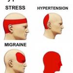 Types of Stress meme