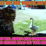 My friend found a random duck at a park, took a picture of it, and sent it to me to meme it. Very good choice he made imo XD | ROSES ARE RED, VIOLETS ARE DULL; YOU WILL ALWAYS HEAR COMMUNIST MUSIC BECAUSE AFLAC GOT YOUR BACK LOL | made w/ Imgflip meme maker