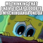 Seeing SpongeBob sad makes me wanna cry. :'( - Meme by