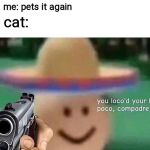 new template | me: pets cat; cat: yay; me: pets it again; cat: | image tagged in poco loco egg,memes | made w/ Imgflip meme maker
