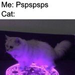 Whomst has summoned the almighty one | Me: *Calls cats name*; Cat:; Me: Pspspsps; Cat: | image tagged in whomst has summoned the almighty one,cats,memes,funny,cat | made w/ Imgflip meme maker