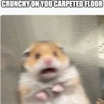 paniked hamster | WHEN YOU STEP ON SOMETHING CRUNCHY ON YOU CARPETED FLOOR | image tagged in paniked hamster | made w/ Imgflip meme maker