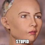 AI robot lady weird face | STUPID | image tagged in ai robot lady weird face | made w/ Imgflip meme maker