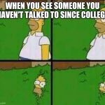 Homer Simpson in Bush - Large | WHEN YOU SEE SOMEONE YOU HAVEN'T TALKED TO SINCE COLLEGE | image tagged in homer simpson in bush - large | made w/ Imgflip meme maker