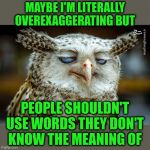 I'm literally figurative but very best | MAYBE I'M LITERALLY OVEREXAGGERATING BUT; PEOPLE SHOULDN'T USE WORDS THEY DON'T KNOW THE MEANING OF | image tagged in unwise owl | made w/ Imgflip meme maker