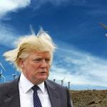 Trump Windmill Wind Power Windbag meme