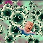 Trump virus meme