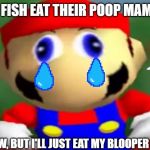 Derpy mario | DO FISH EAT THEIR POOP MAMA? I DON'T KNOW, BUT I'LL JUST EAT MY BLOOPER FOR LUNCH | image tagged in derpy mario | made w/ Imgflip meme maker