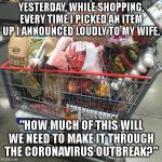 Shopping Cart | YESTERDAY, WHILE SHOPPING, EVERY TIME I PICKED AN ITEM UP I ANNOUNCED LOUDLY TO MY WIFE, "HOW MUCH OF THIS WILL WE NEED TO MAKE IT THROUGH THE CORONAVIRUS OUTBREAK?" | image tagged in shopping cart | made w/ Imgflip meme maker