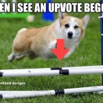 Dowmvoting an upvote beggar: Corgi week is a FunFletchlingFanatic event and it will last until March 14th | WHEN I SEE AN UPVOTE BEGGAR | image tagged in corgi,dogs | made w/ Imgflip meme maker