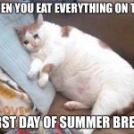Fat Cat Crying | WHEN YOU EAT EVERYTHING ON THE; FIRST DAY OF SUMMER BREAK | image tagged in fat cat crying | made w/ Imgflip meme maker