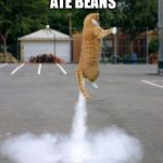 Rocket cat | ATE BEANS | image tagged in rocket cat | made w/ Imgflip meme maker