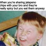 Roasted kid | When you’re sharing jalapeno chips with your bro and they’re really spicy but you eat them anyway | image tagged in roasted kid | made w/ Imgflip meme maker