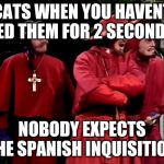 Spanish Inquisition | CATS WHEN YOU HAVENT FED THEM FOR 2 SECONDS; NOBODY EXPECTS THE SPANISH INQUISITION | image tagged in spanish inquisition | made w/ Imgflip meme maker