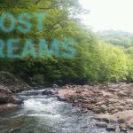 List of Streams with no owner, comment if you are interested in owning. Know of a stream with no owner? | LOST STREAMS | image tagged in wv mountain stream,lost streams,owner | made w/ Imgflip meme maker