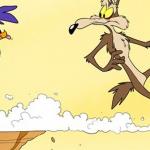 Roadrunner coyote