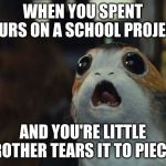 Star Wars Porg | WHEN YOU SPENT HOURS ON A SCHOOL PROJECT; AND YOU'RE LITTLE BROTHER TEARS IT TO PIECES | image tagged in star wars porg | made w/ Imgflip meme maker